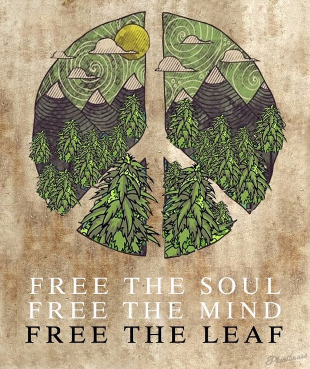 SSHempGoods's tweet photo. FREE THE LEAF https://t.co/z4GuPD0no1