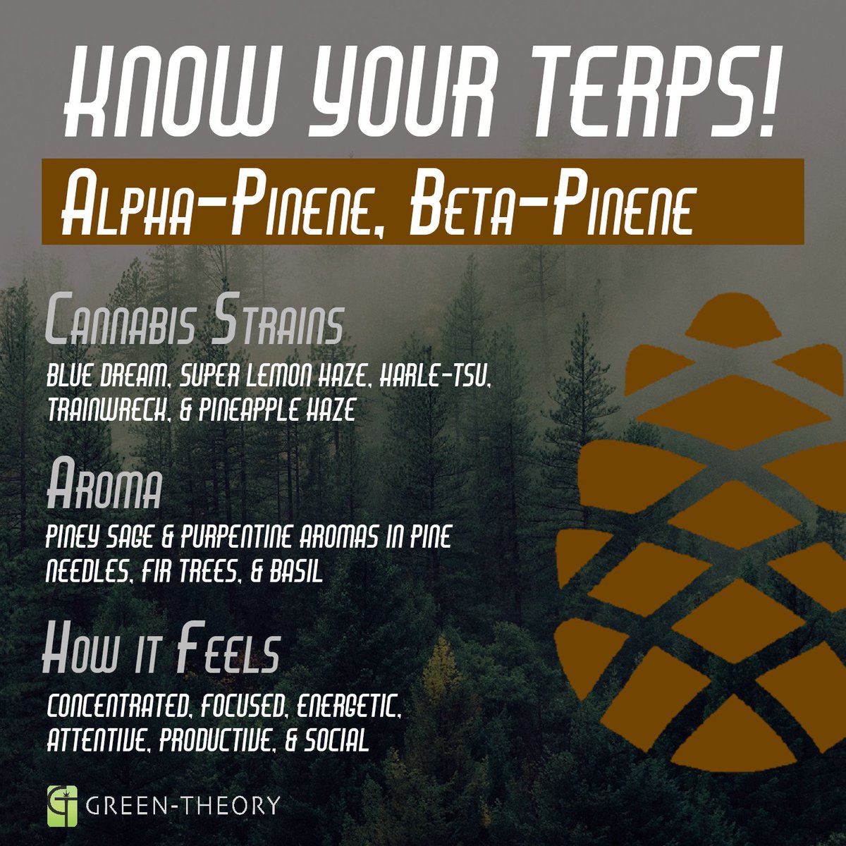 green_theory502's tweet photo. Know Your Terps! Looking for Pinene Terps? Try Blue Dream &amp; Super Lemon Haze from Legends (@NWCSolutions)
#GreenTheory #KnowYourTerps #Terps https://t.co/SYP825GzNi