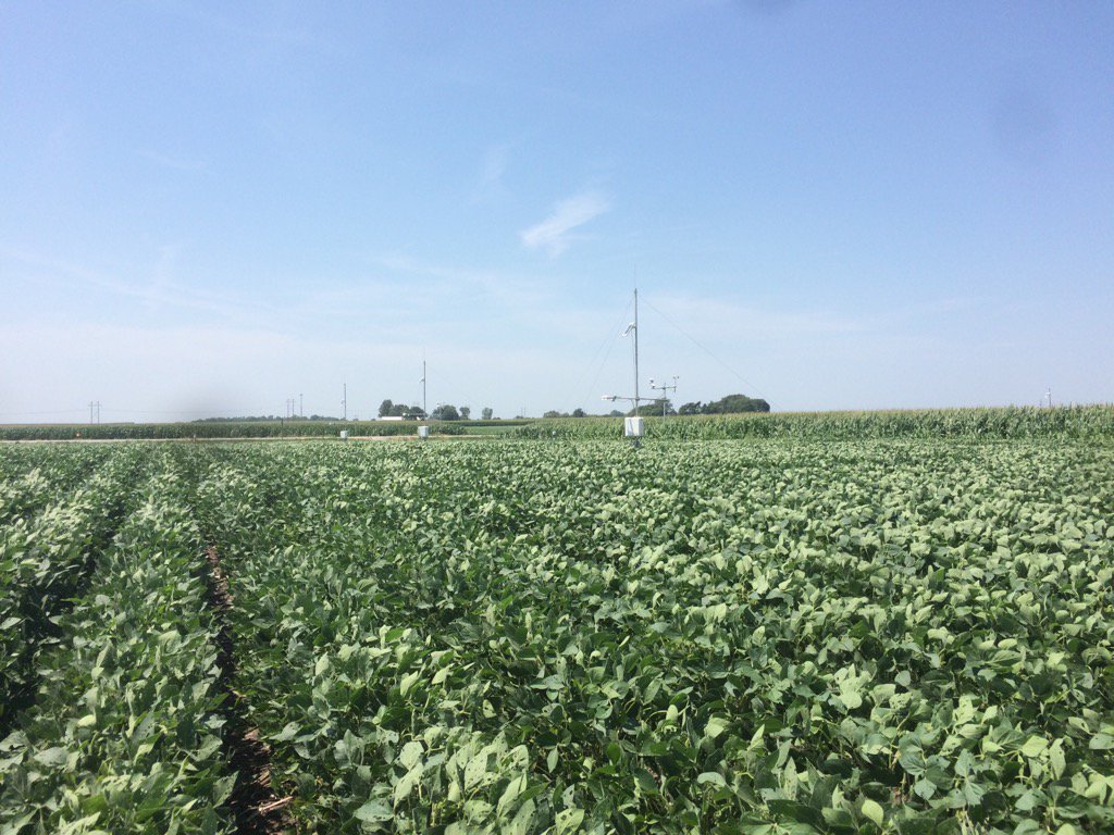 Lots of ET being measured today -hot and sunny after a rainy day. <a href="/MarrsBarrs/">Emily Marrs Heineman</a>