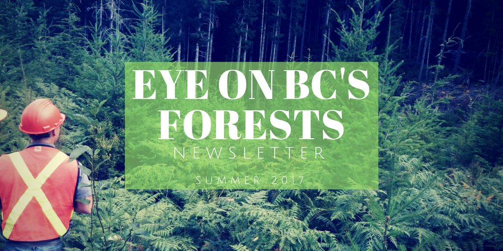 BC_FPBoard's tweet photo. Did you miss our latest newsletter, Eye of BC’s Forests Summer 2017? Here it is https://t.co/HtfYcN2YOx #wildfire #auditupdate #forestry #BC https://t.co/25jZB0G1i2