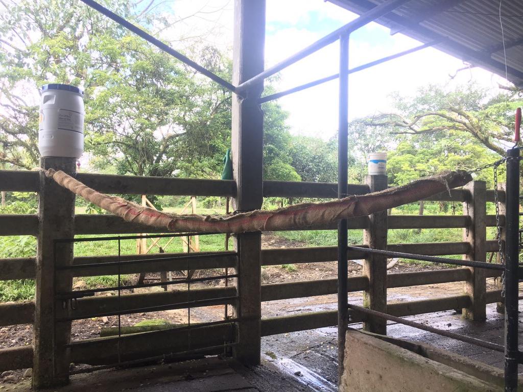 Rascadero con producto natural para control de mosca y garrapata