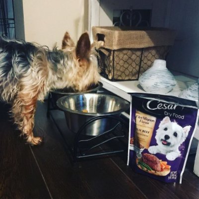 InfluensterCB tweet picture