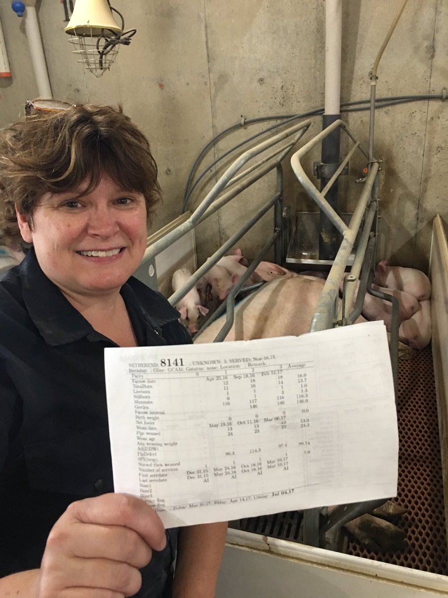 diannebrek's tweet photo. PIC Dam and Sire performance.
"No fuss" weaning with parity 4 sow weaning 13 piglets every time.
@KasloBayAB #PICproud https://t.co/mcRb0p9ms0
