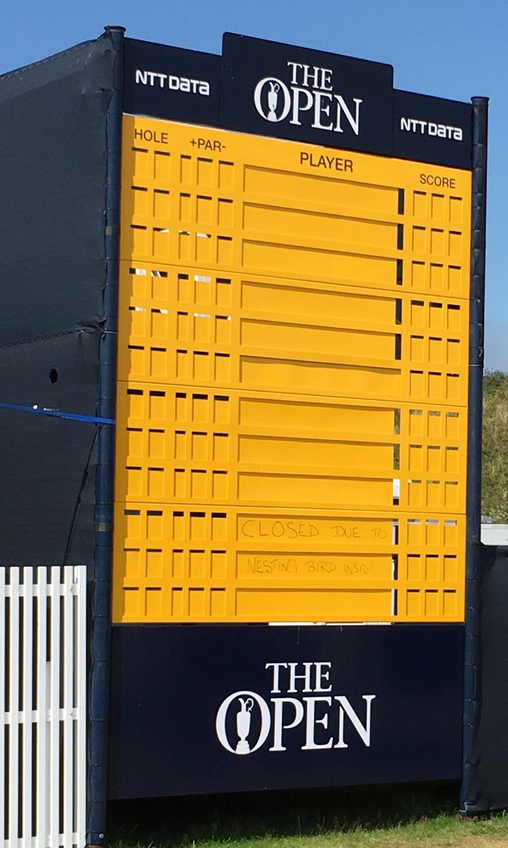 As the rest of <a href="/TheOpen/">The Open</a> is dismantled around it,this oblivious lodger is looking like it plans on staying around for a bit longer🐦 #TheOpen