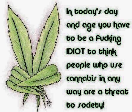 sharonlauriemsg's tweet photo. 🍁@Malmo_Levine #whileyouwere💤RT 🌿★Mary★ @NorCalStoner420💚
Being A #Stoner🍃💥💨 Isn't Synonymous To Being a Criminal... https://t.co/gS9RETbTTT https://t.co/L1wP94Utwb
