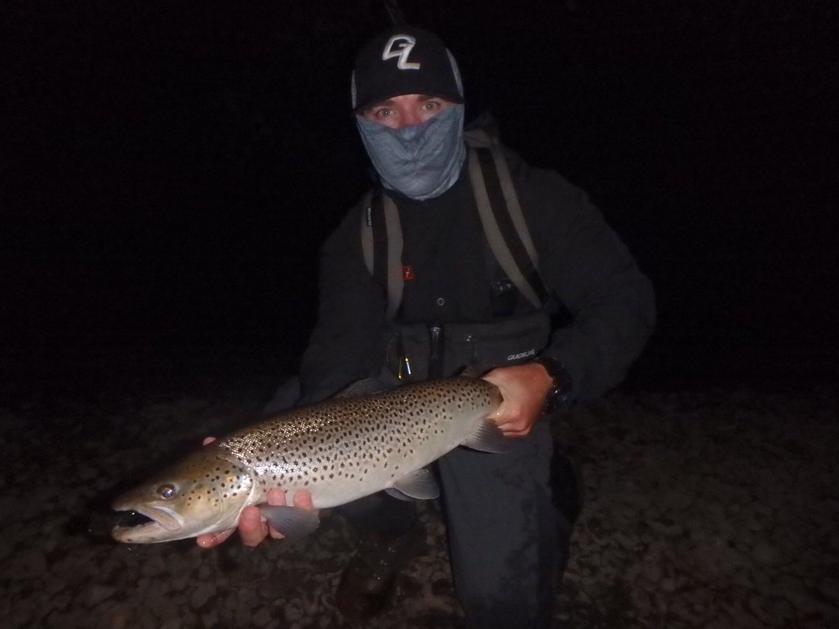 sharkeyd79's tweet photo. All the animals come out at night #flyfishing #browntrout #catchandrelease #mousehatch #trout #guideline https://t.co/mgOQqTyCRE