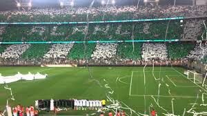 mohadalowais's tweet photo. اتقدم بجليل الشكر لجماهير النادي الملكي التي غمرتني بمشاعر اعجزت لساني عن الكلام وأن شاء البارىء نفرح جميعاً بتحقيق طموحاتنا البطوليه 💚 https://t.co/Co79KHiM0h
