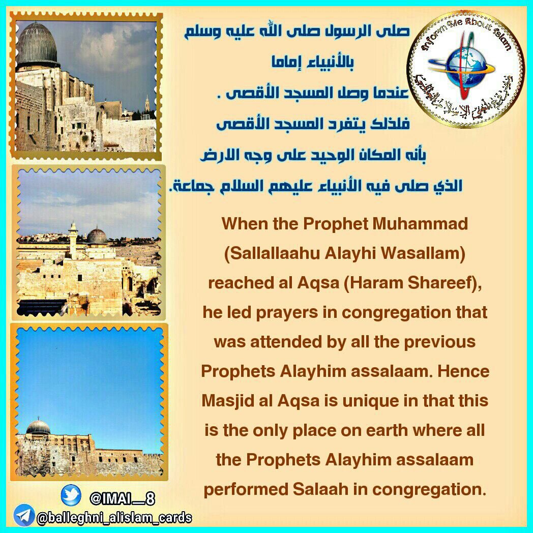 a88626061's tweet photo. #ماذا_تعرف_عن_الاقصى
اللهم طهر اقصانا من دنس اليهود https://t.co/U5Q1hFj5Kz
