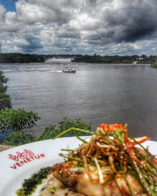 VeneturOrinoco's tweet photo. Exquisito #LauLao al Ajillo acompañado de esta hermosa vista al #SaltoLaLlovizna ¡Mmm que delicia! https://t.co/W5xwRgzZjY
