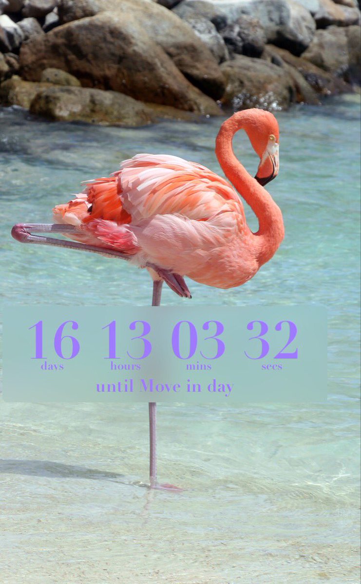 I can't believe time is flying by so fast I have only 16 days till I move into college where did the summer go?