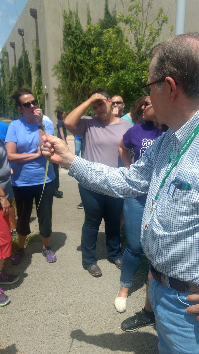 TashmanEdu's tweet photo. Dan Caudle taught us about the properties of switch grass and other native plants! #STEAMpln #BRITtrc @FridayTracy @ESC11Science @SciThai https://t.co/WruuPpVUsn