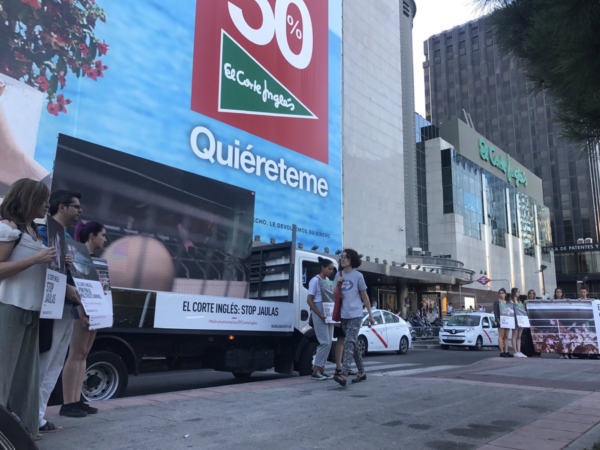 IgualdadAnimal's tweet photo. Protestando frente a El Corte Inglés de Nuevos Ministerios en Madrid por el fin de las jaulas de gallinas.  RT #MaltratoAnimalElCorteIngles https://t.co/SvfxsZpIGW
