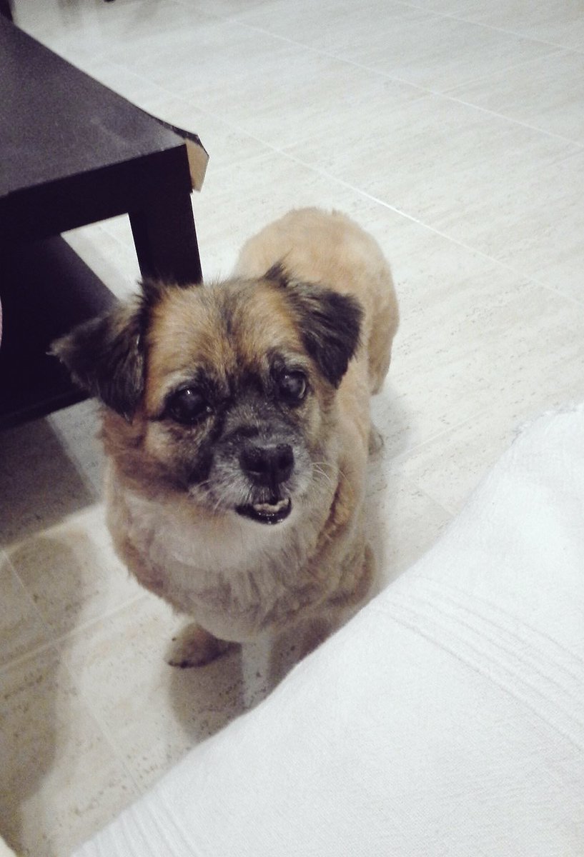 andreaduef_'s tweet image. Aunque han pasado dos años desde que te fuiste yo sigo teniéndote muy presente porque siempre formarás parte de mí #NoTeAbandono