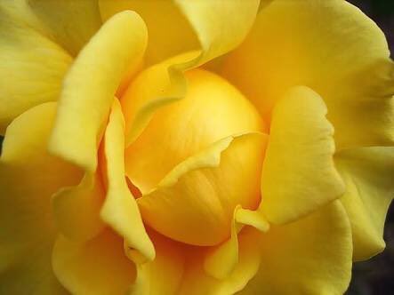 Güven Loçlar (@loclar) on Twitter photo 