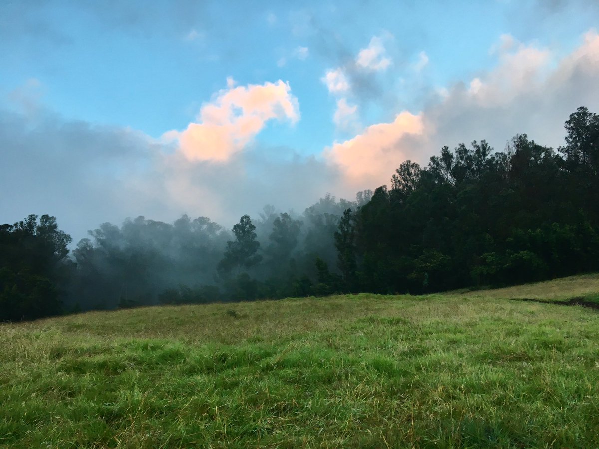 kayshyaamberlei's tweet photo. No ugly days there's always beauty in the countryyyy 🌬🌾🍃🍂🌞 #higherthantheclouds https://t.co/DsgEGxhu8s