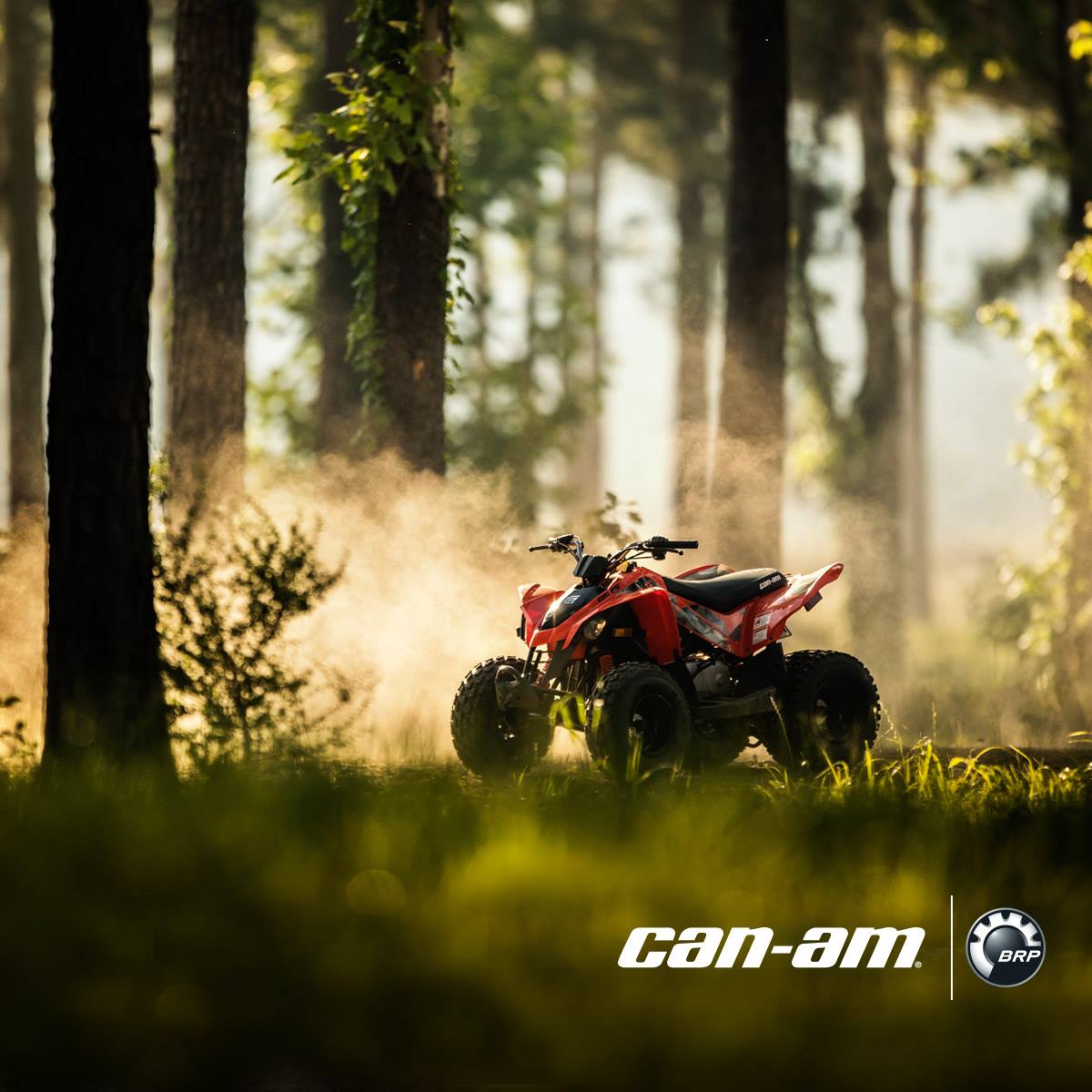 CycleModesto's tweet image. Pure joy lies ahead.
Learn more → bit.ly/2iii7mc