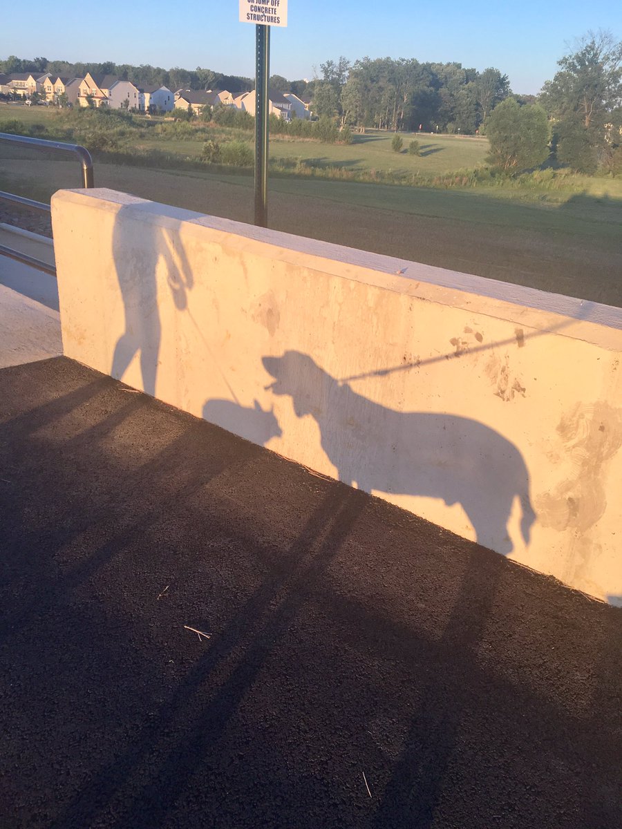 PolokeH's tweet photo. 🎼Me and my shadow. 🎶 https://t.co/H44IIak117