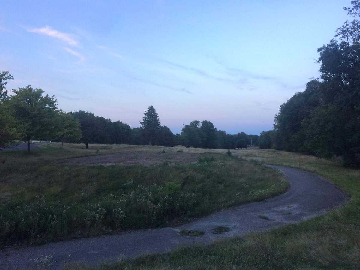 MikeLSaunders's tweet image. #PhotoMonitorLCWM