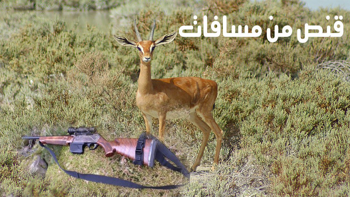 alom3said's tweet photo. #اقفلوا_باب_الهدايا_يا_مشاهير
https://t.co/greQ1RWLvi https://t.co/NxfemmvHg7