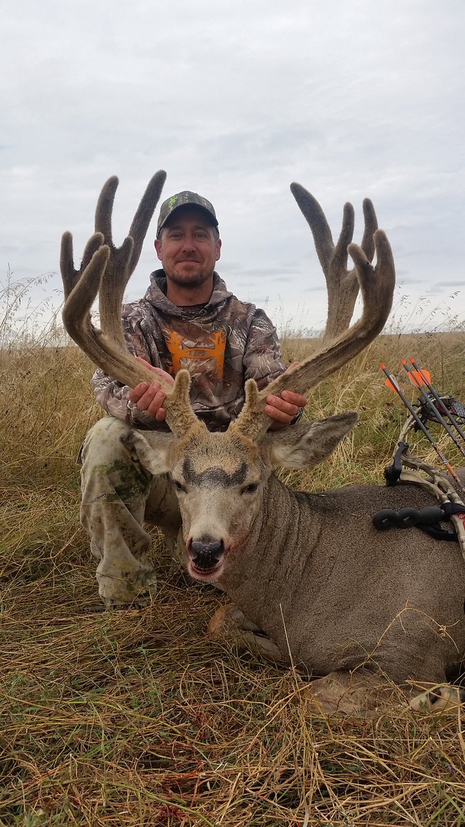 kellypastachak's tweet photo. @AverageHunter My 2016 Archery Mulie #Ourflatlandpursuit #youtube https://t.co/YsWNGauyOq