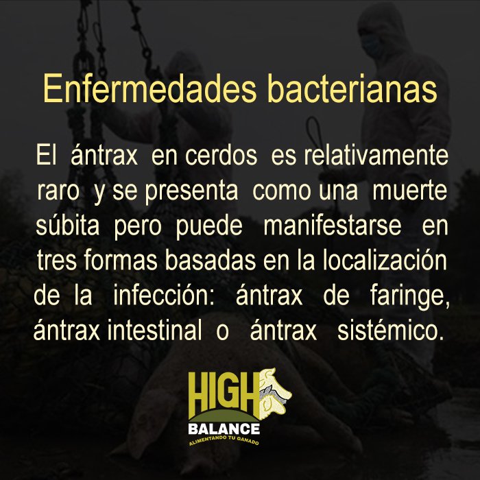 highbalace_emp's tweet photo. Cuando se identifican de manera temprana las enfermedades en los cerdos, las soluciones son mas factibles. #HighBalance #AlimentoPorcino https://t.co/BZTVl2qszn