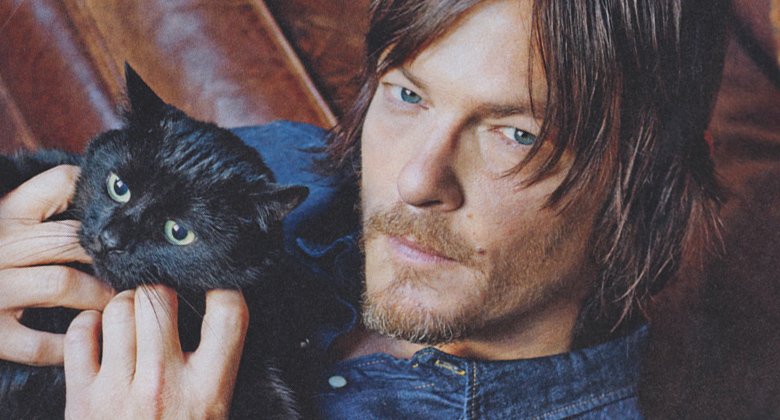 DarylDixonHunt's tweet image. [Looking for mains for serious RP. DM me if interested-even if it’s late and I’m gonna go to bed soon-Answers tomorrow] #CatToShowImSerious