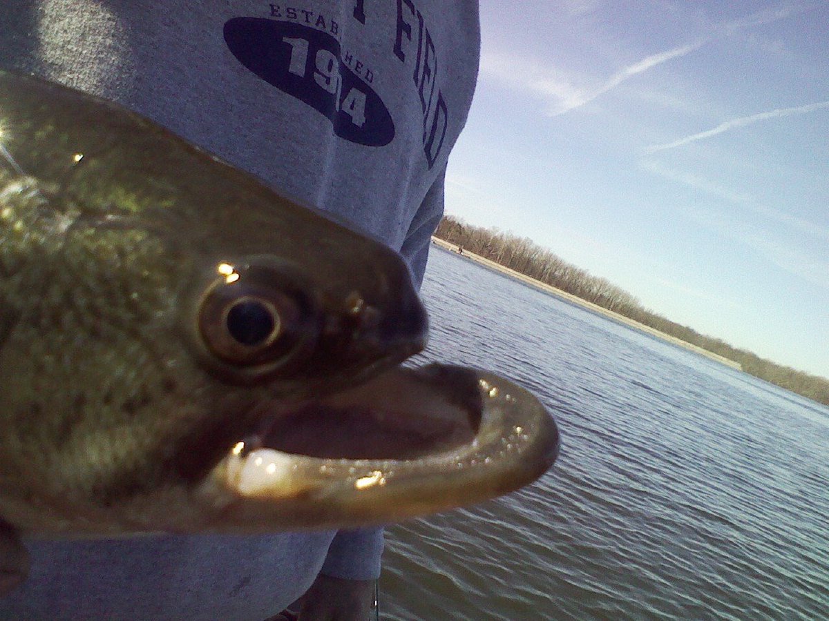 Brody McWilliams tweet media