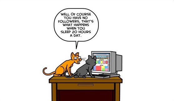 Buzz_Fish's tweet photo. No time for cat naps in the #SocialMedia world! 🐱😂  #BuzzFish #Marketing #FridayFunnies https://t.co/JDXtkU71Kh