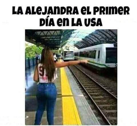 AnibalChavez14's tweet photo. Cuantas ALeJANDRAs ay en mi Twitter jajajajaj https://t.co/xYl6HDdhWj
