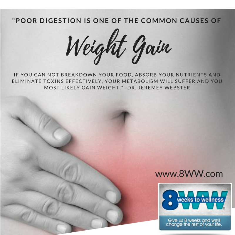 8WW's tweet photo. 8 Weeks to Wellness teaches a lifestyle that will help you obtain optimal gut health. https://t.co/bUUqW11IDN
#guthealth
#healthiswealth https://t.co/XvqcxK4G5G