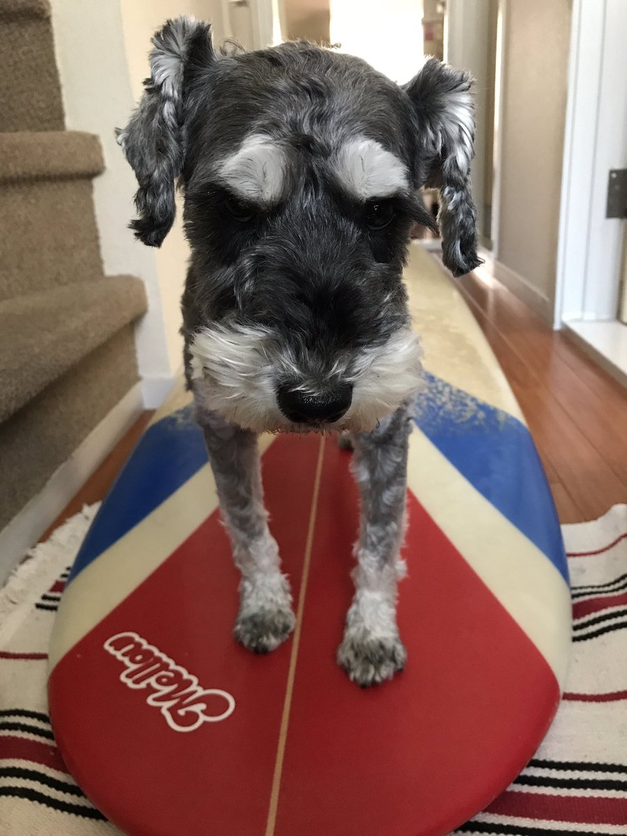 texture_hiro's tweet image. 海行きた〜い…
ギックリ腰やっちゃいまして(//∇//)
1週間は安静…