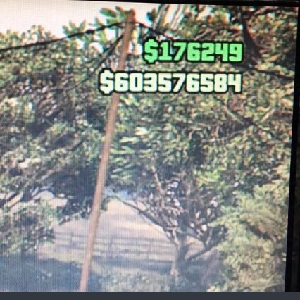 GTAVModder2k17's tweet photo. Selling this account for $20 If you want it DM me and we'll talk about it! Xbox One User Hurry! I will sell a PS4 account soon! https://t.co/bfYOyJAKOH