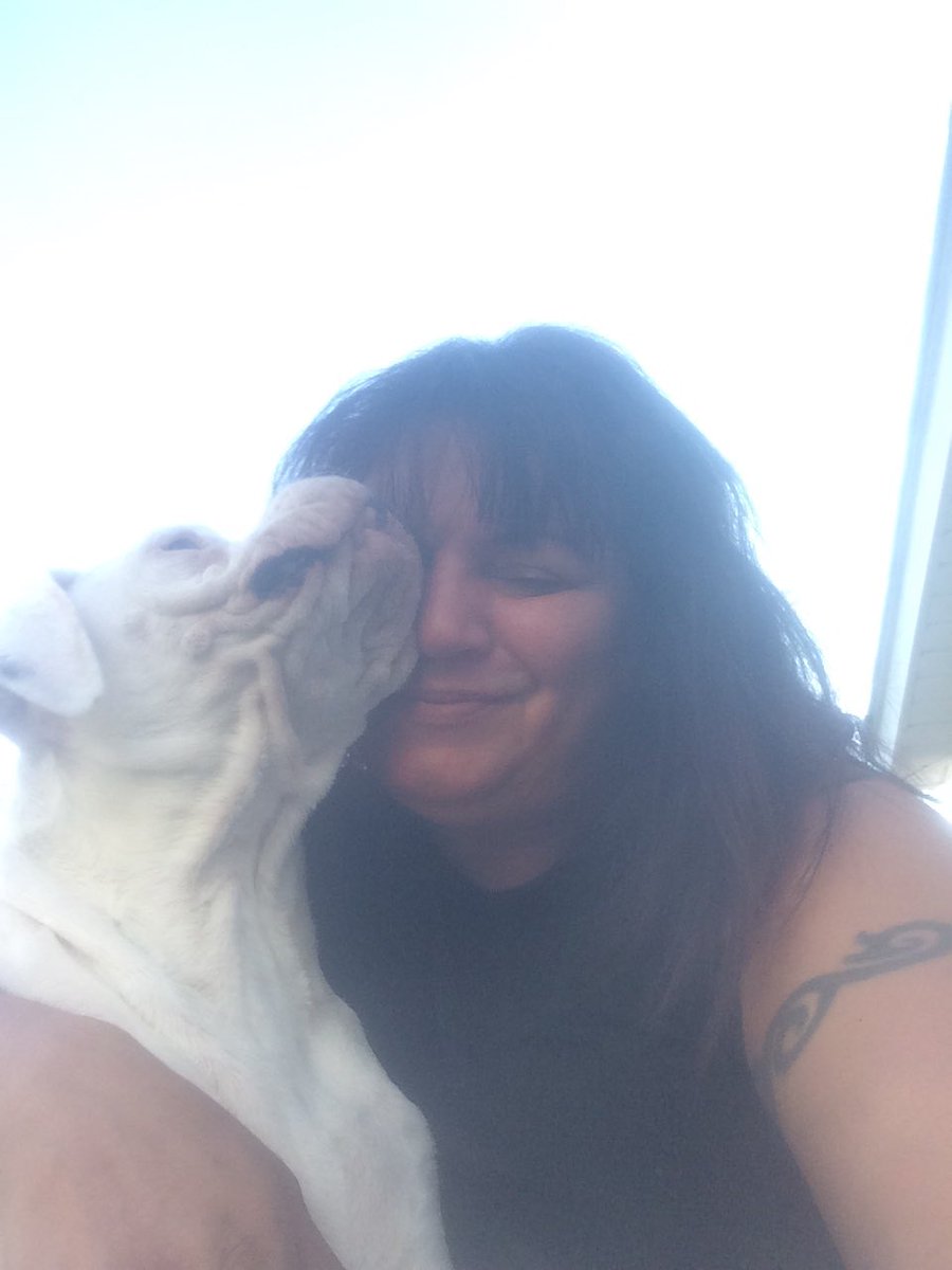 schultz5477's tweet photo. Getting some loving. #Boxers #DogsofTwitter https://t.co/MIOykO8V39