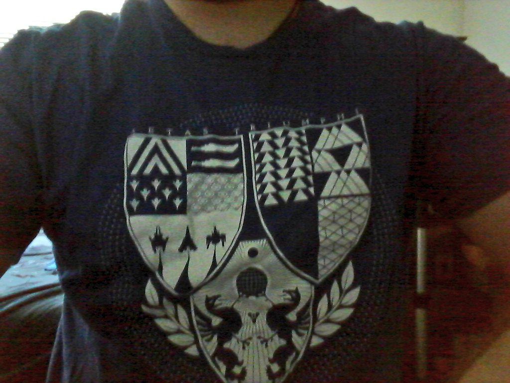 streah's tweet photo. You all wanted to see it!!! Here it is.. my #AgeofTriumph shirt! Added new fidget spinner just for the laughs.. #destinythegame #hunterFTW https://t.co/GPDTsuUlkC