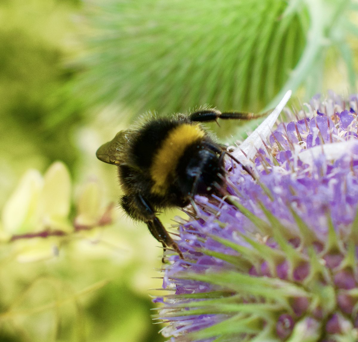 Karen Kelly tweet media