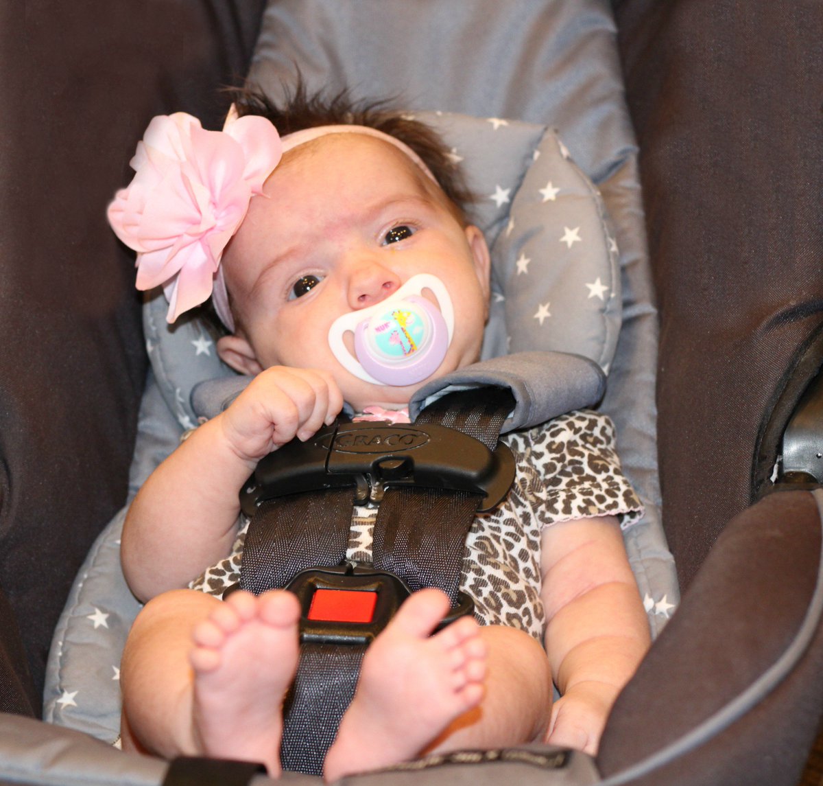 AlphaCenter's tweet photo. Why, hello there. #AlphaBabyAddison #cutebows #beautiful #babygirl https://t.co/I9pgJMegdF