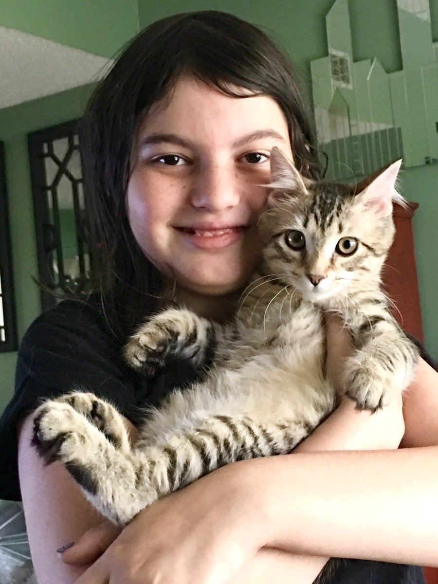 karena731's tweet photo. My daughter got an early present from my oldest son. Yep, I'm a sucker. Meet Lily. #AdoptDontShop #LuvAPet #rescuecat 🐱 https://t.co/haKM3cB5Qr