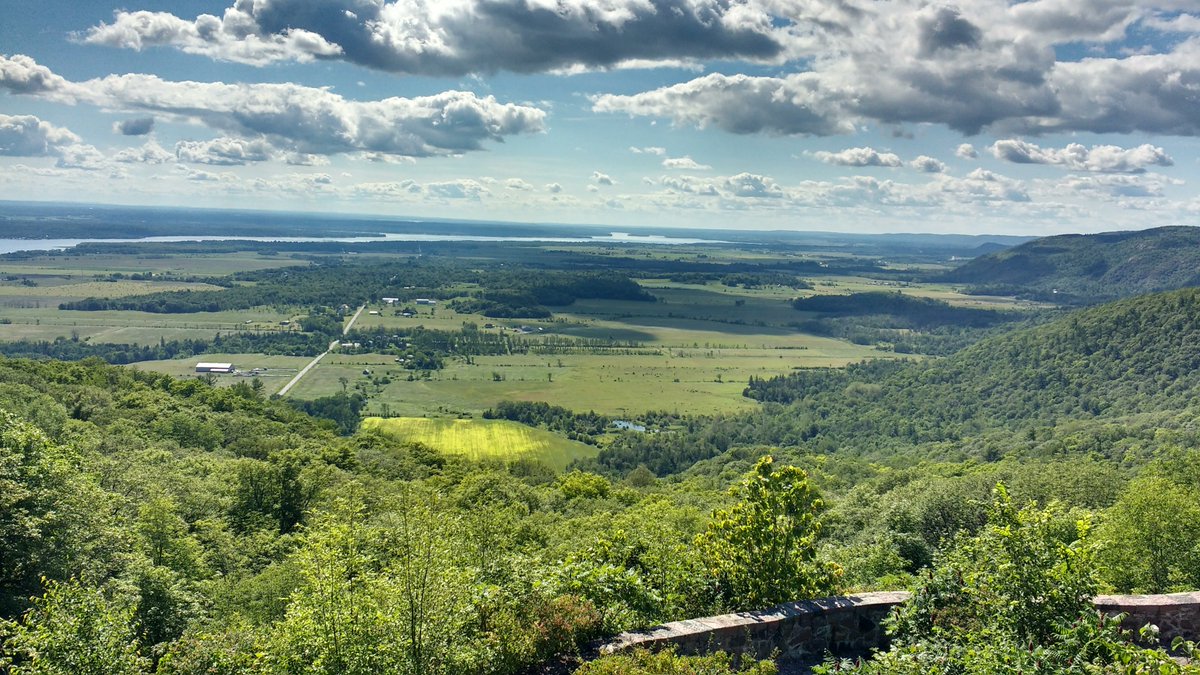 TOBIJAHEDEN's tweet photo. #weddinglandscapes
#outdoor
#gatineaupark
#chelsea
#theredbridge https://t.co/KUrVWK1rkW