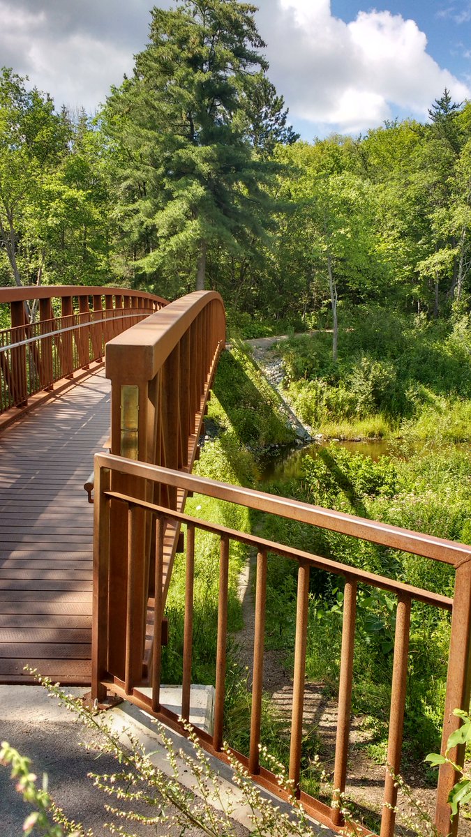 TOBIJAHEDEN's tweet photo. #weddinglandscapes
#outdoor
#gatineaupark
#chelsea
#theredbridge https://t.co/KUrVWK1rkW