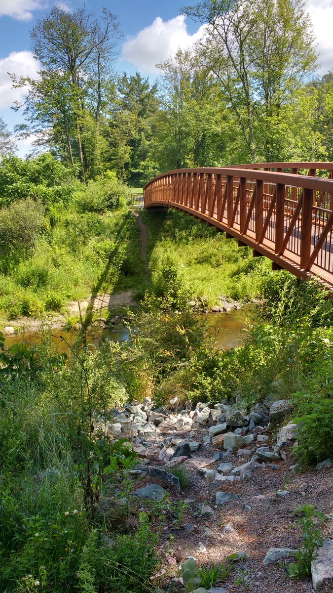 TOBIJAHEDEN's tweet photo. #weddinglandscapes
#outdoor
#gatineaupark
#chelsea
#theredbridge https://t.co/KUrVWK1rkW