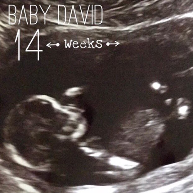 bree_angelle's tweet photo. Wyatt Colt David💙💙 Nanny's little boy! I can't wait to meet you😍 https://t.co/q37Auej9NV