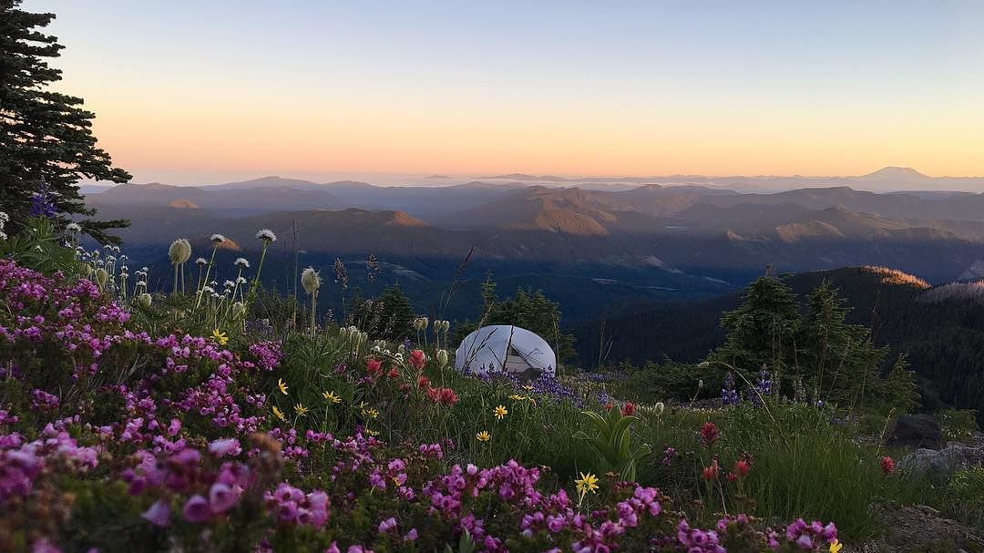 REI's tweet photo. A few faves from our Instagram Weekend Project Campsite Showdown. #LetsCamp

PC to IG's sarah_steimle, silviayom, amack1023, &amp; collinburk. https://t.co/p77R36st4N