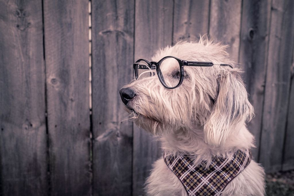 zift's tweet photo. Subscribe to the latest #ChannelMarketing, #ChannelSales or #ChannelOps chatter here - https://t.co/II1BZyovcE @Relayware https://t.co/takp9Po7iH