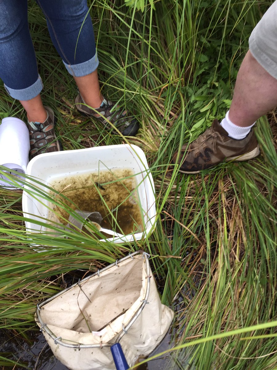librarygrl2's tweet photo. Great day exploring the outdoors with #EarthPartnership @UWMadison https://t.co/ia8uhqiAuC