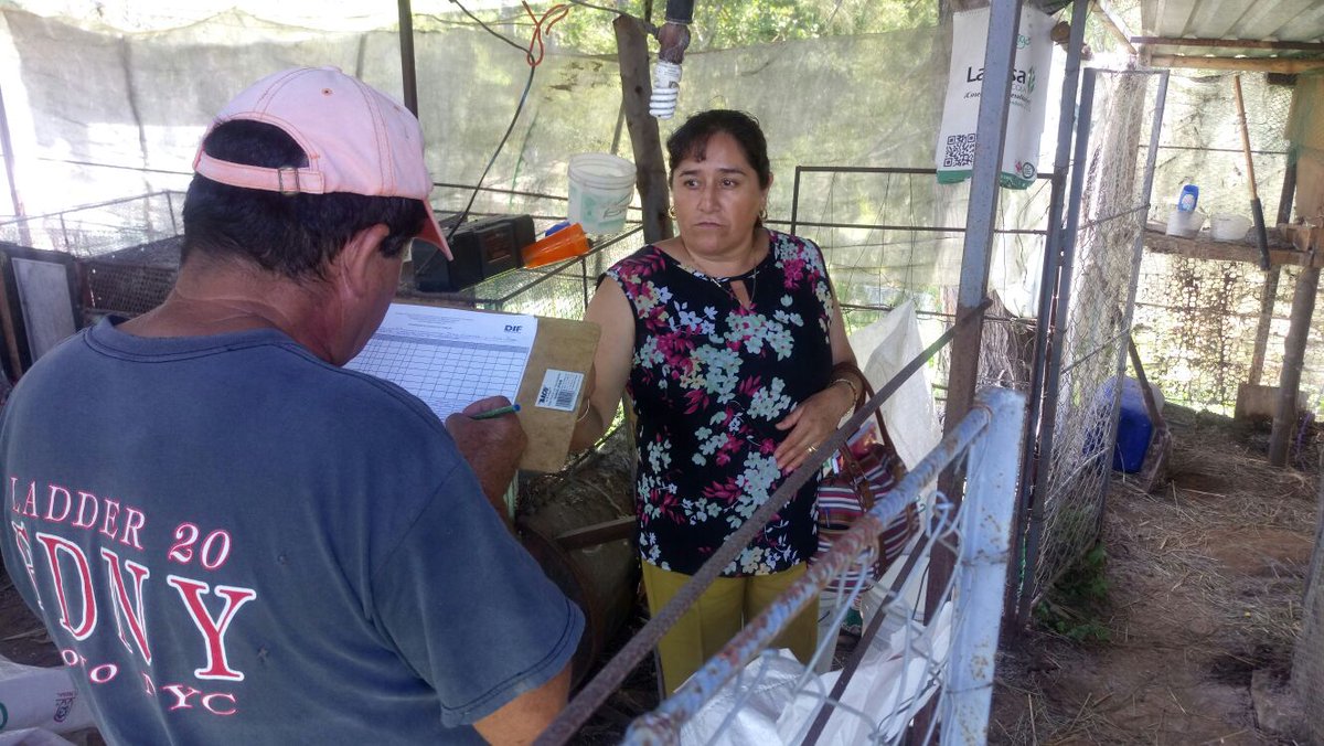 DIFVillaGro's tweet photo. 📷 #Fotogaleria  Realizamos visita a la granja de conejos de la Comunidad de Jesús Carranza. https://t.co/c6zvA5clZ6 https://t.co/q7ruw8b7im