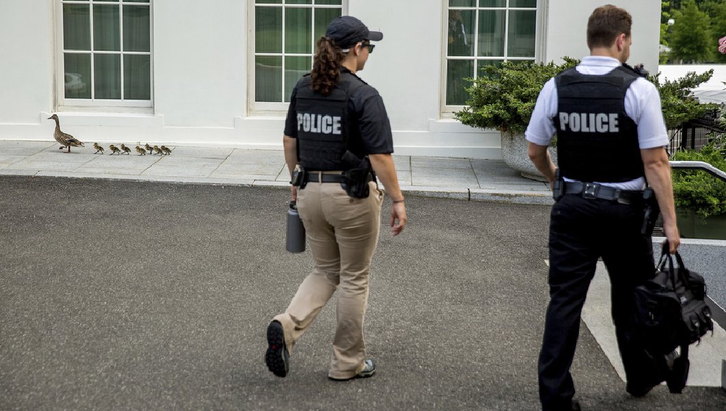 Person wounded in Secret Service-involved shooting