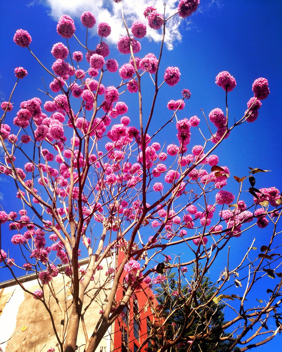 Pedro (@pedro11110934) on Twitter photo 