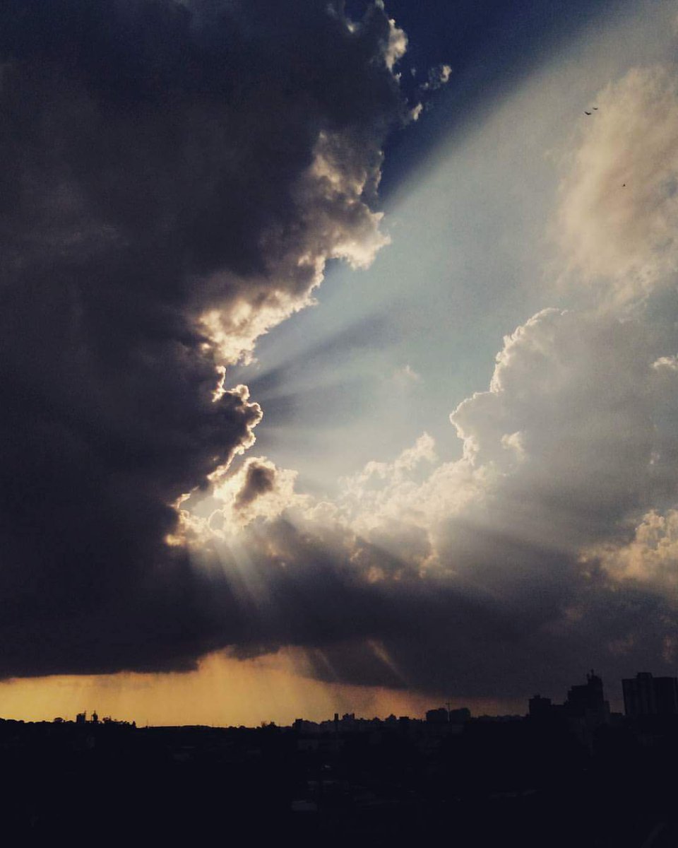 Pedro (@pedro11110934) on Twitter photo 