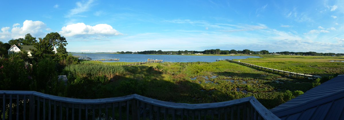 MissRobinSays's tweet photo. So excited to be in @ChincoteagueNWR for #PonyWeek for the 1st time! https://t.co/Vtfk9Ewvub