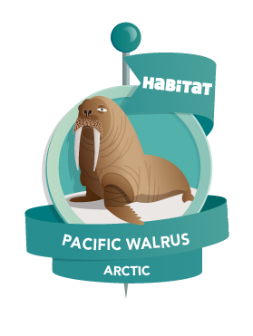 We are updating the pin system sorry for any problems players are experiencing. We should be fully functional by this afternoon.